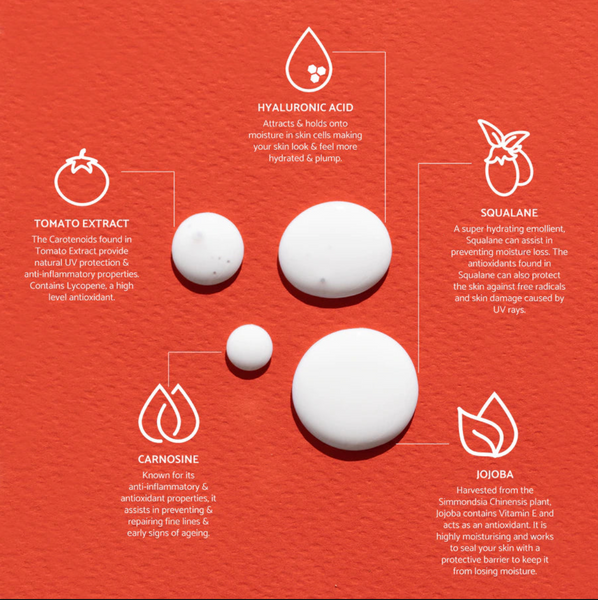 We Are Feel Good Inc. / Good Morning SPF 50 (Fragrance Free) - Daily Face Sunscreen Lotion