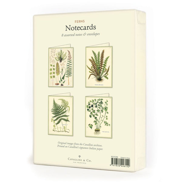 Cavallini & Co. / Boxed Notecards (Set 8) - Fern