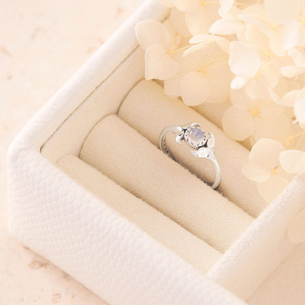 Midsummer Star / Dolphins Embrace Moonstone Ring - Silver