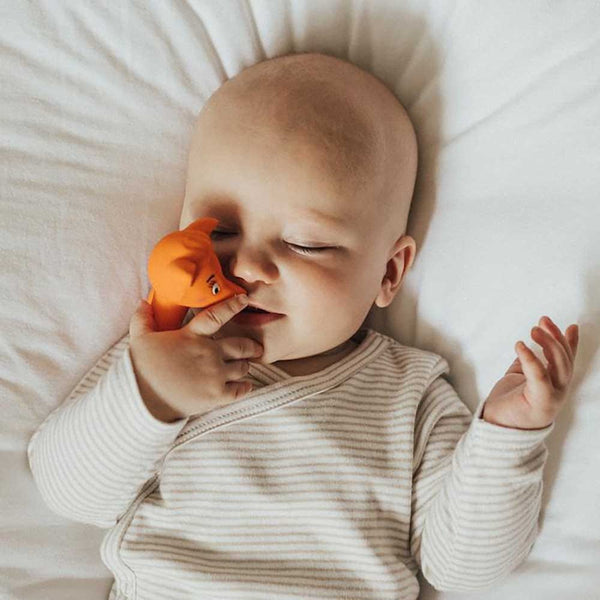 Mizzie / Mini Teether