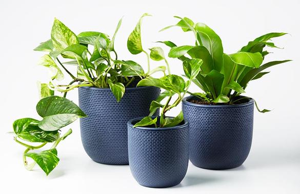 Jones & Co / Tweed Pot (Small) - Indigo