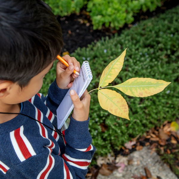 Tiger Tribe / Explorer Microscope Set