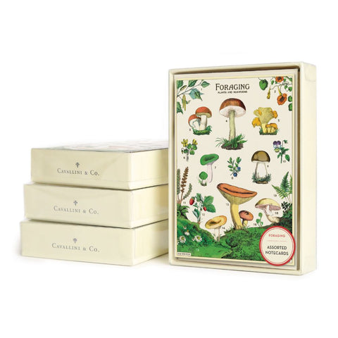 Cavallini & Co. / Boxed Notecards (Set 8) - Foraging