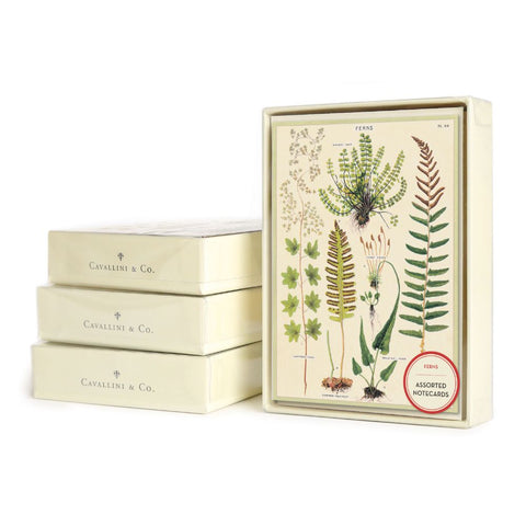 Cavallini & Co. / Boxed Notecards (Set 8) - Fern