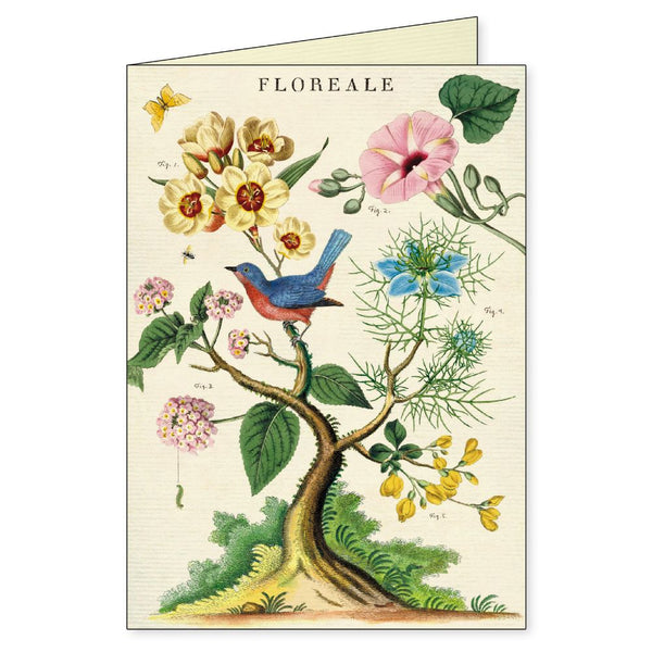 Cavallini & Co. / Boxed Notecards (Set 8) - Floreale
