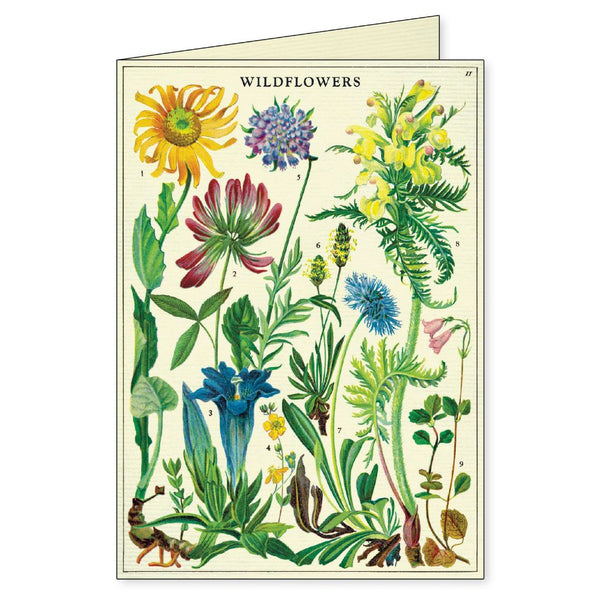 Cavallini & Co. / Boxed Notecards (Set 8) - Wildflowers