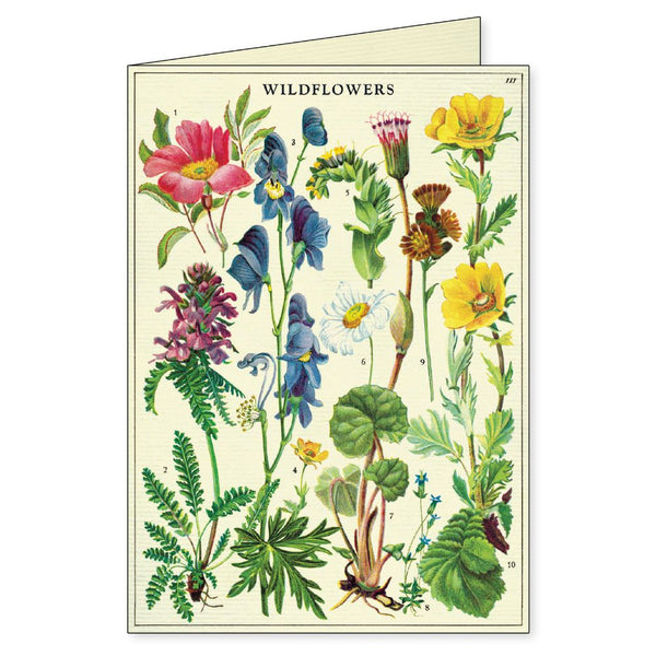 Cavallini & Co. / Boxed Notecards (Set 8) - Wildflowers
