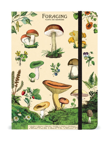 Cavallini & Co. / Blank Notebook (Large) - Foraging