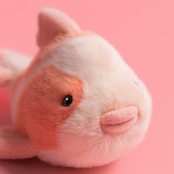 Jellycat / Fancy Carp