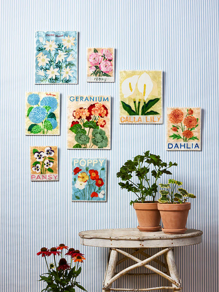 Jones & Co / Market Wall Art - Peony