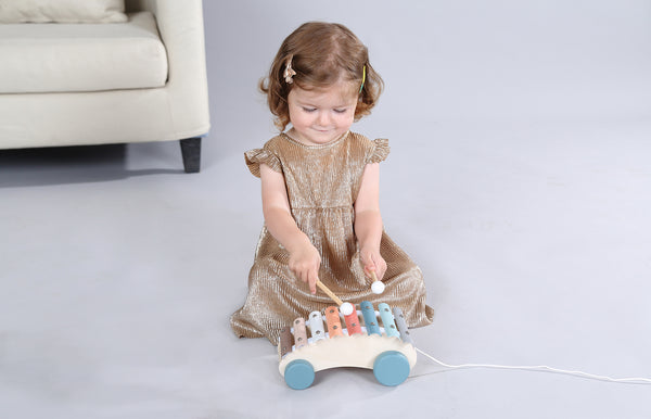 Kaper Kidz / Calm & Breezy Pull Along Xylophone Car
