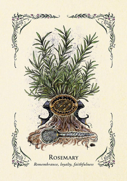 The Green Witch's Oracle Deck - Arin Murphy-Hiscock