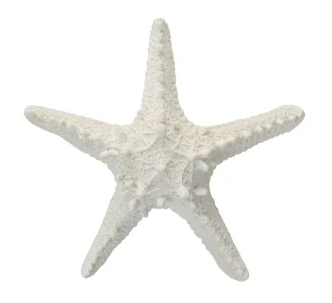 Coast To Coast / Resin Syd Starfish Sculpture - White