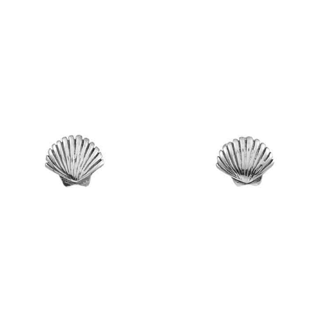 Midsummer Star / Dainty Seashell Studs - Silver