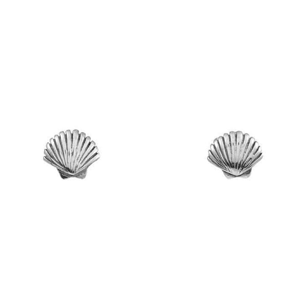 Midsummer Star / Dainty Seashell Studs - Silver